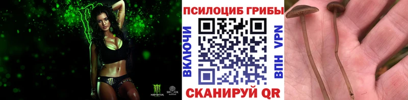 маркетплейс официальный сайт  Кадников  Галлюциногенные грибы ЛСД 
